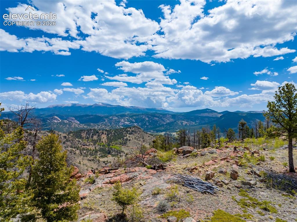 57 Fir Lane Florissant CO 80816