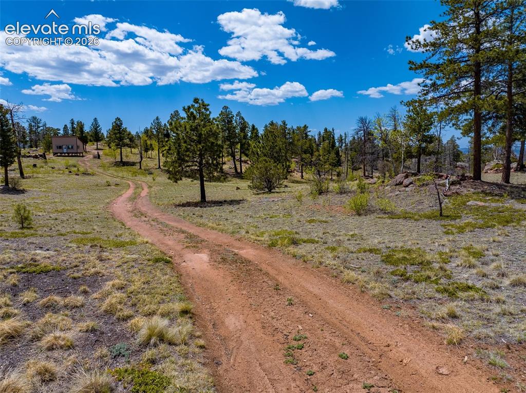57 Fir Lane Florissant CO 80816