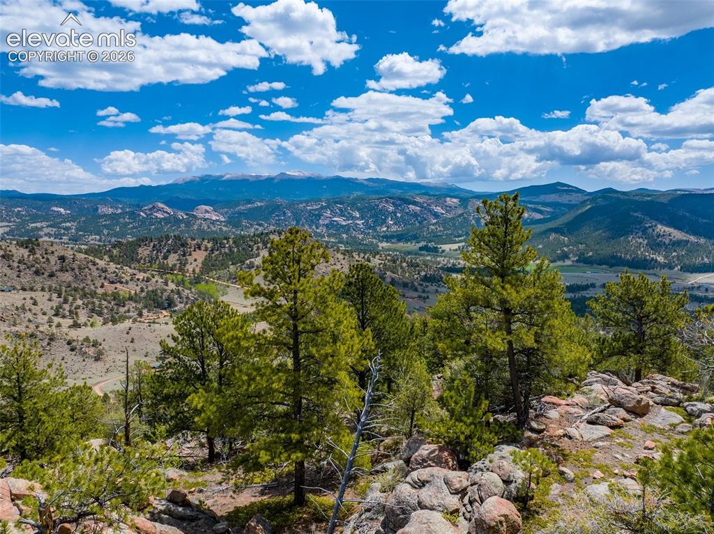 57 Fir Lane Florissant CO 80816