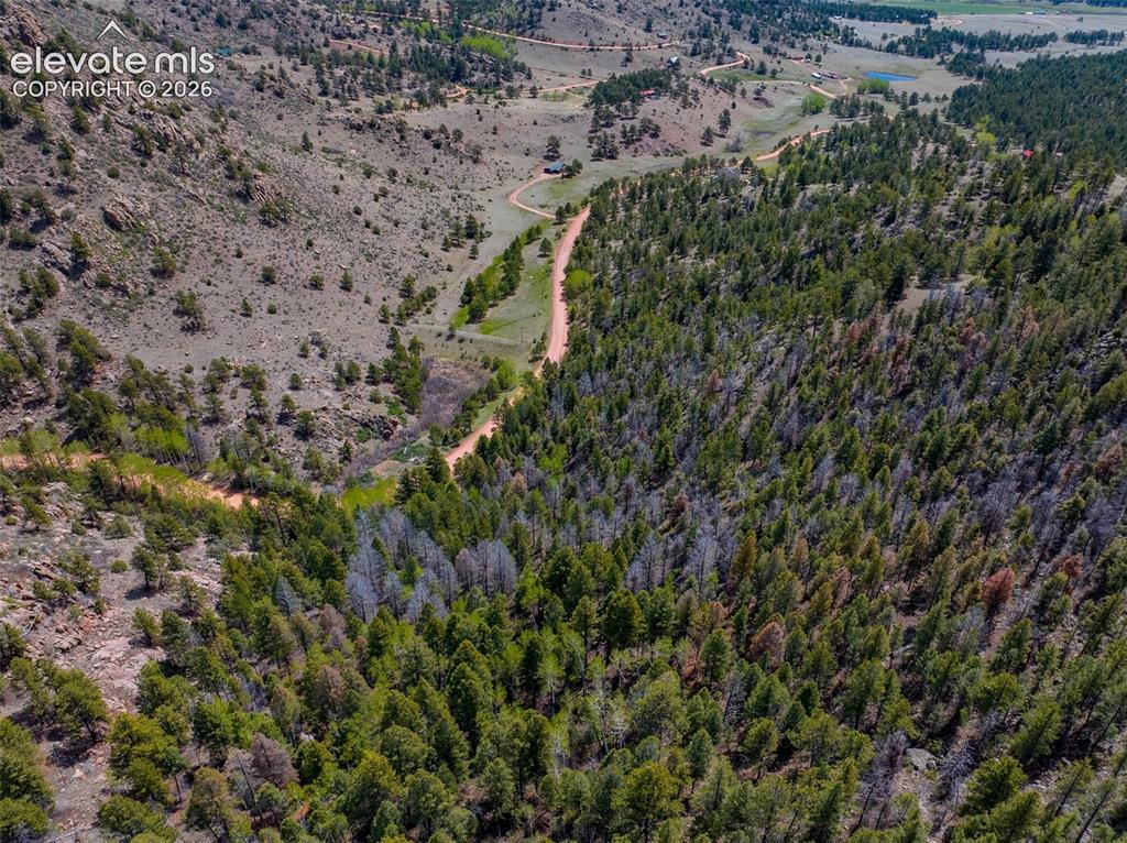 57 Fir Lane Florissant CO 80816
