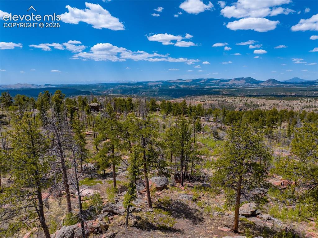 57 Fir Lane Florissant CO 80816