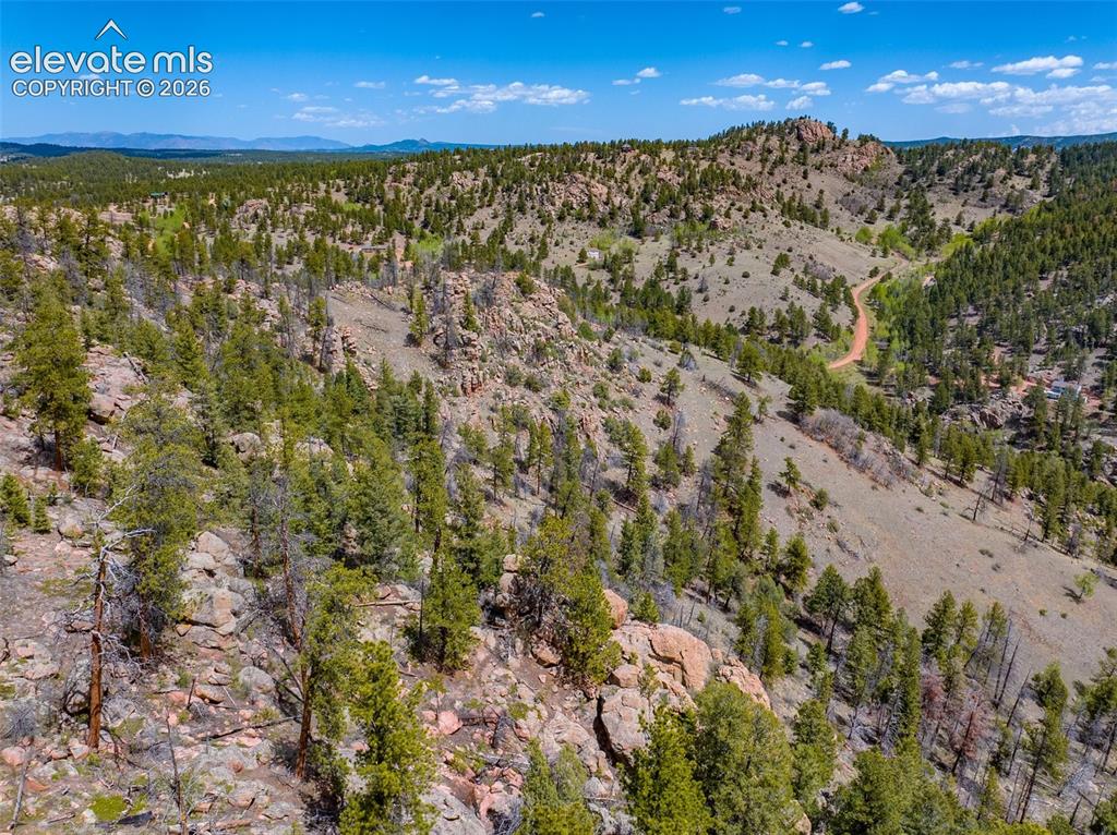 57 Fir Lane Florissant CO 80816