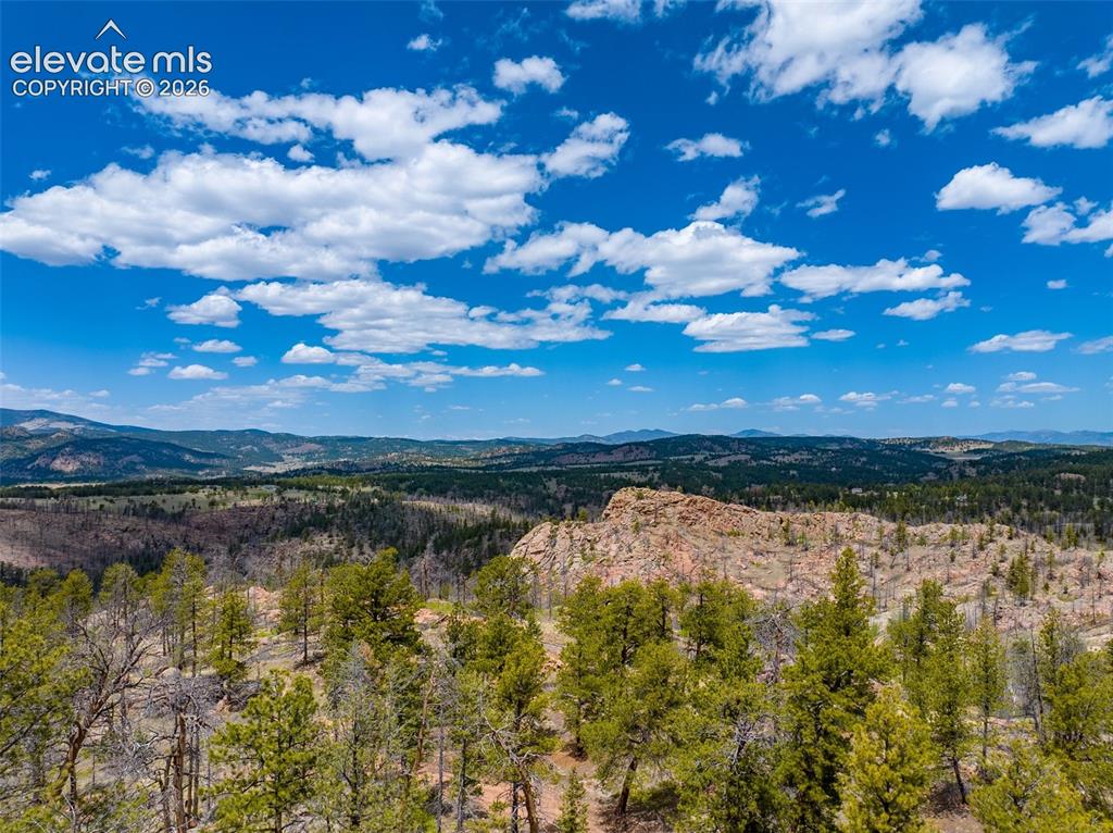 57 Fir Lane Florissant CO 80816