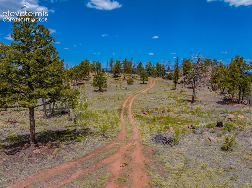 57 Fir Lane Florissant CO 80816