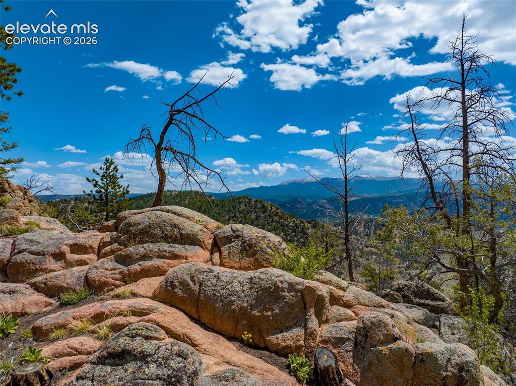 57 Fir Lane Florissant CO 80816