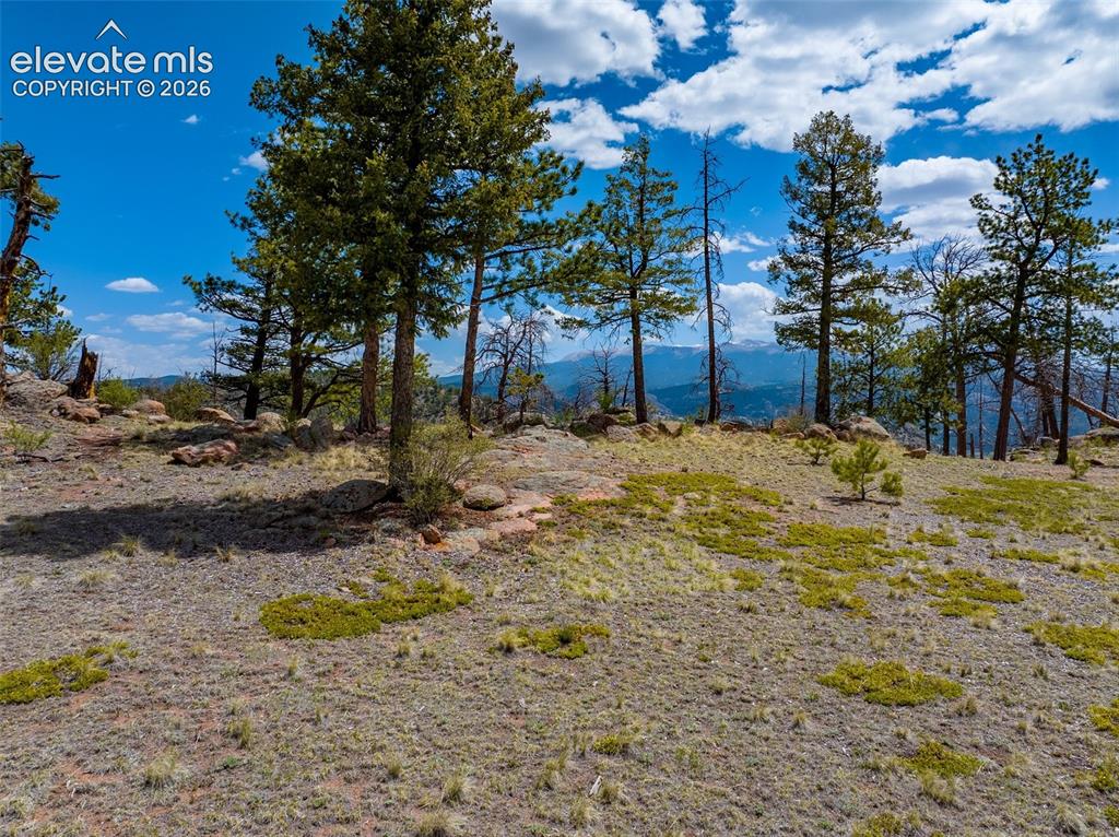 57 Fir Lane Florissant CO 80816