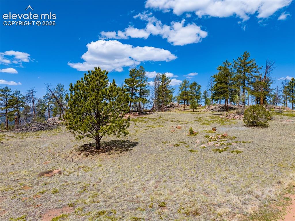 57 Fir Lane Florissant CO 80816