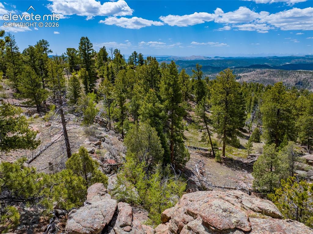 57 Fir Lane Florissant CO 80816