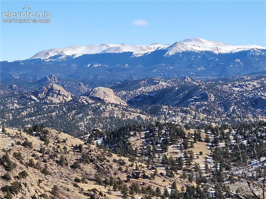 57 Fir Lane Florissant CO 80816