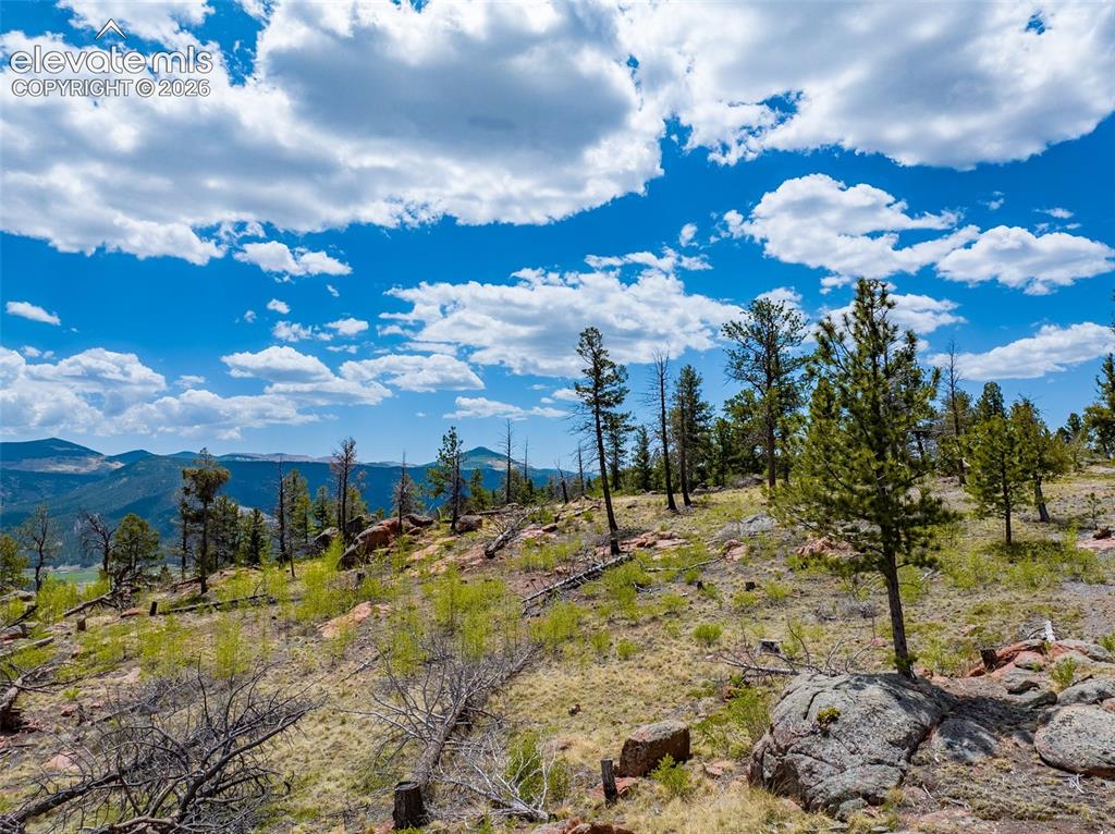 57 Fir Lane Florissant CO 80816