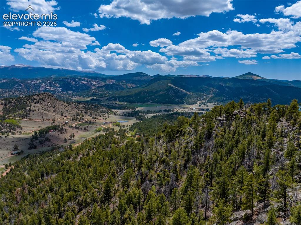 57 Fir Lane Florissant CO 80816