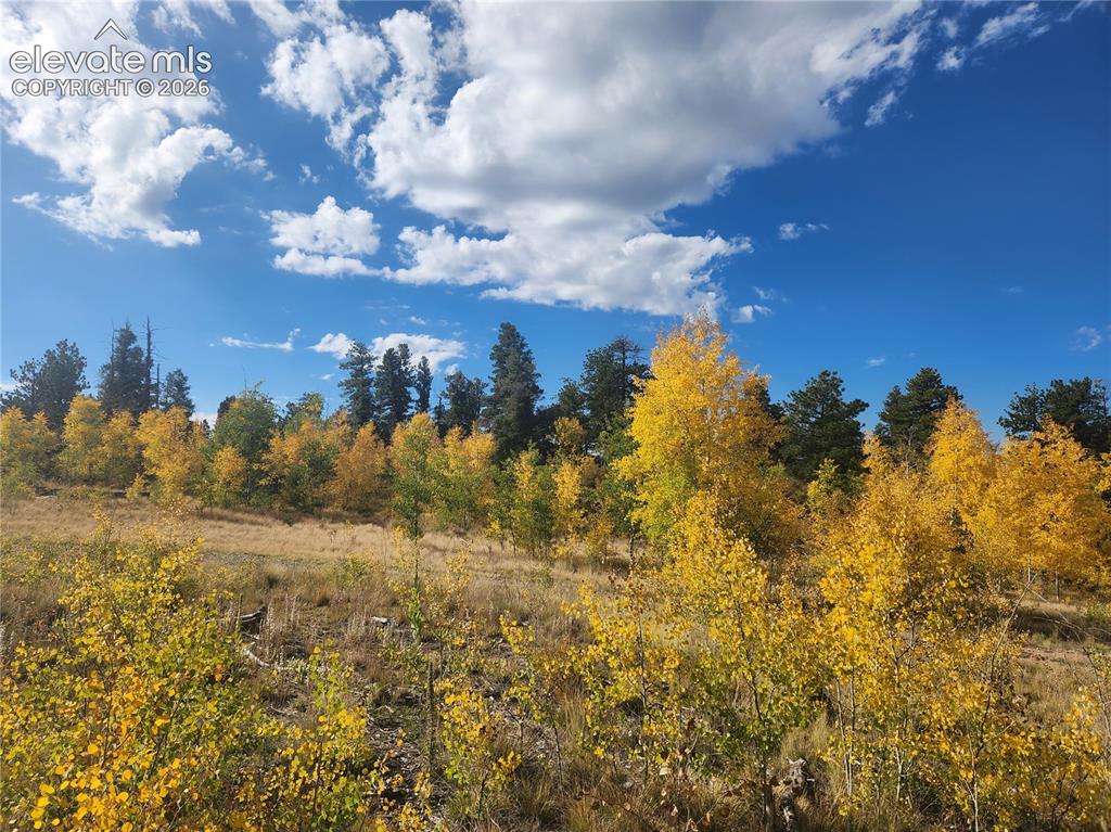 57 Fir Lane Florissant CO 80816