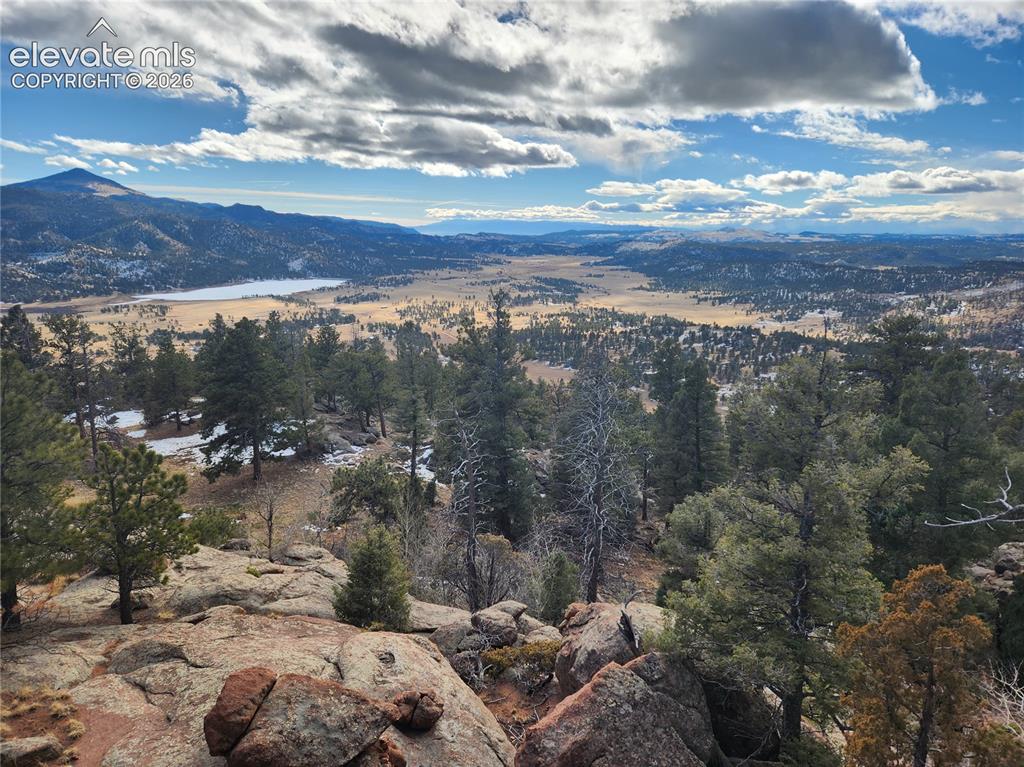 57 Fir Lane Florissant CO 80816