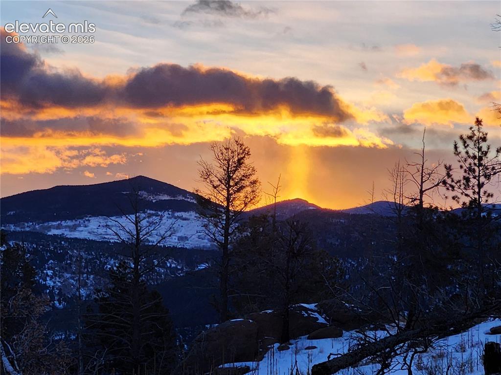 57 Fir Lane Florissant CO 80816