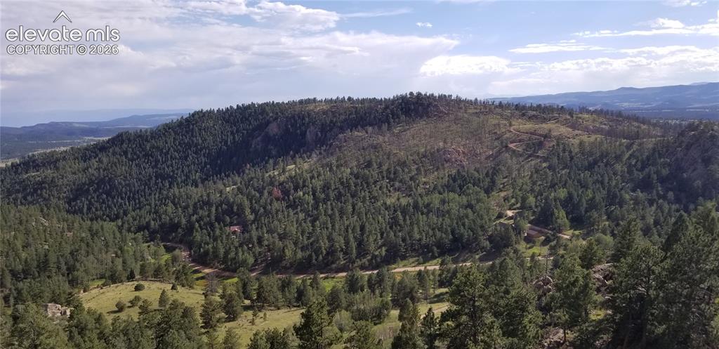 57 Fir Lane Florissant CO 80816