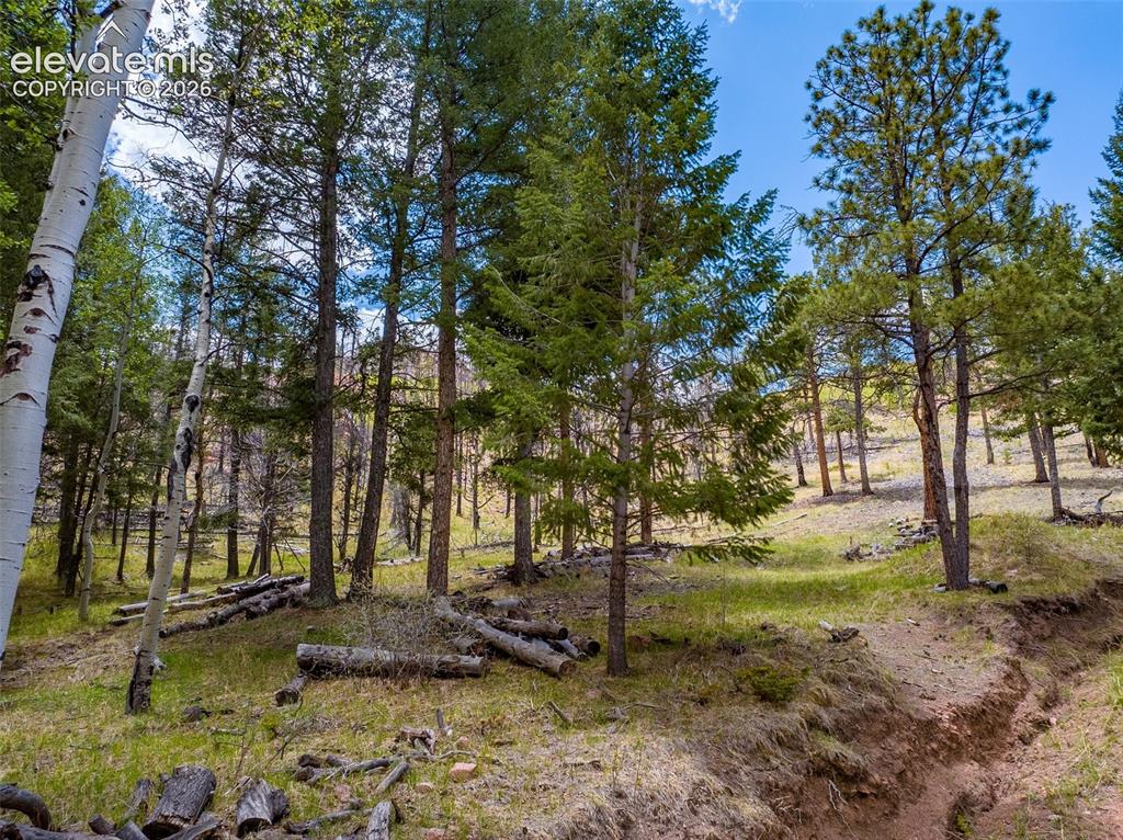 57 Fir Lane Florissant CO 80816