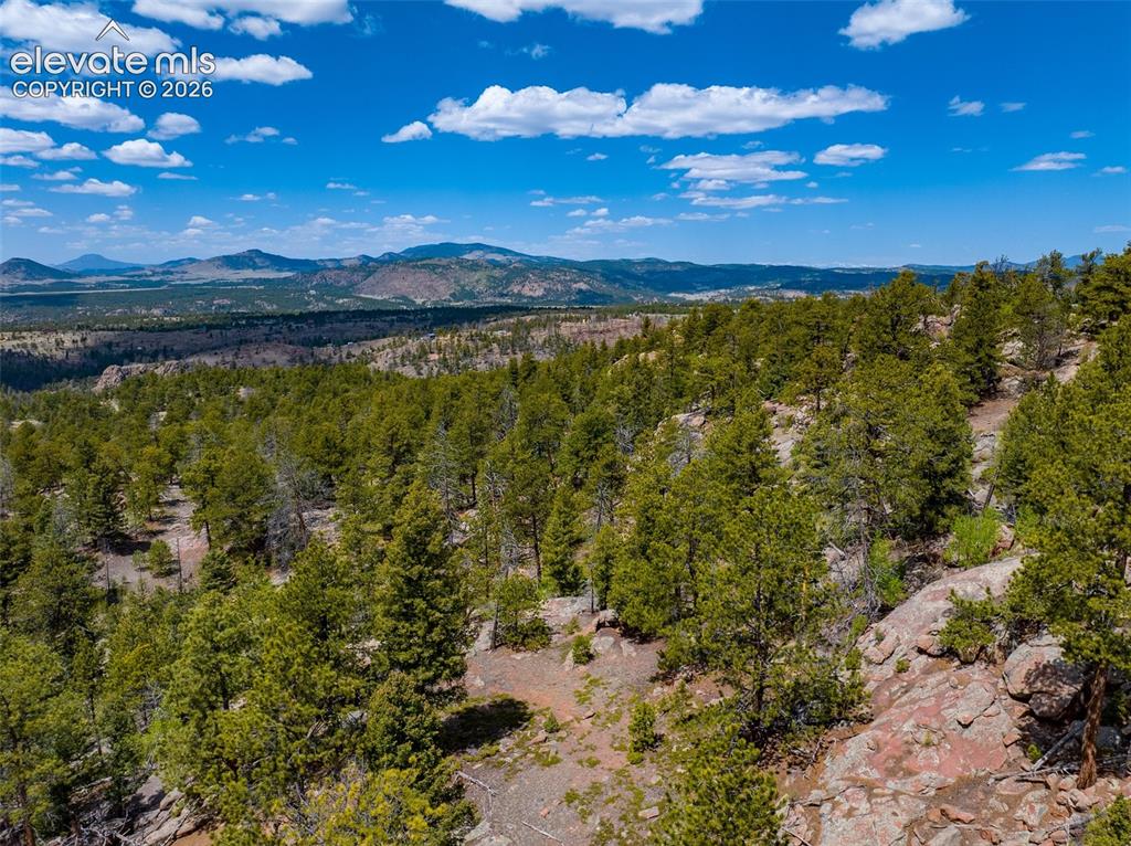 57 Fir Lane Florissant CO 80816