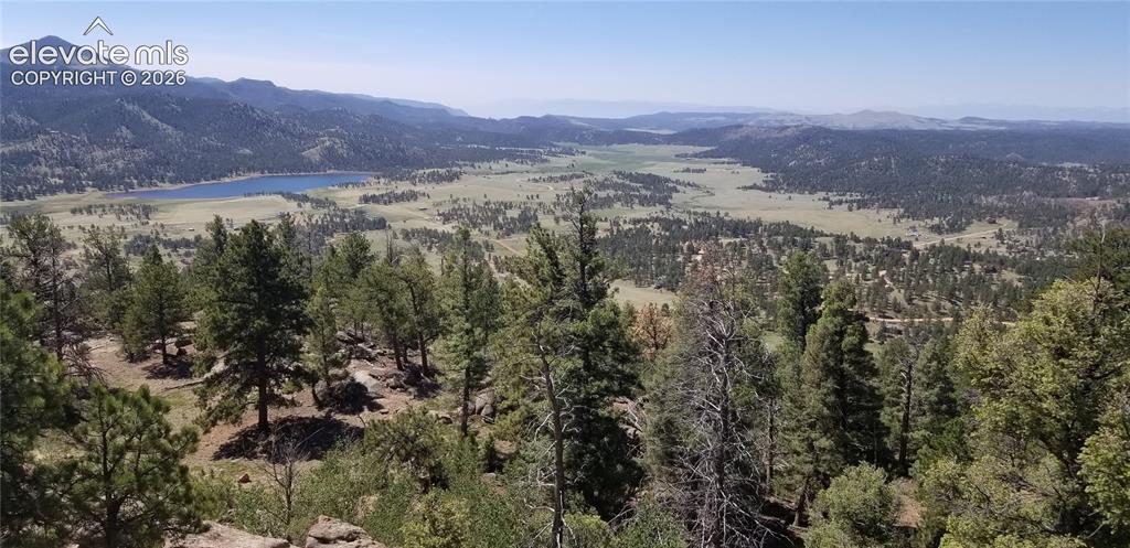 57 Fir Lane Florissant CO 80816