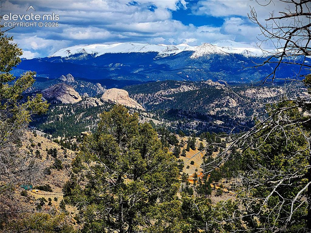 57 Fir Lane Florissant CO 80816