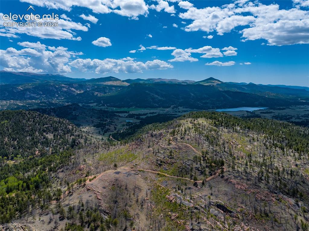 57 Fir Lane Florissant CO 80816