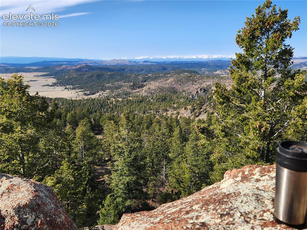 57 Fir Lane Florissant CO 80816