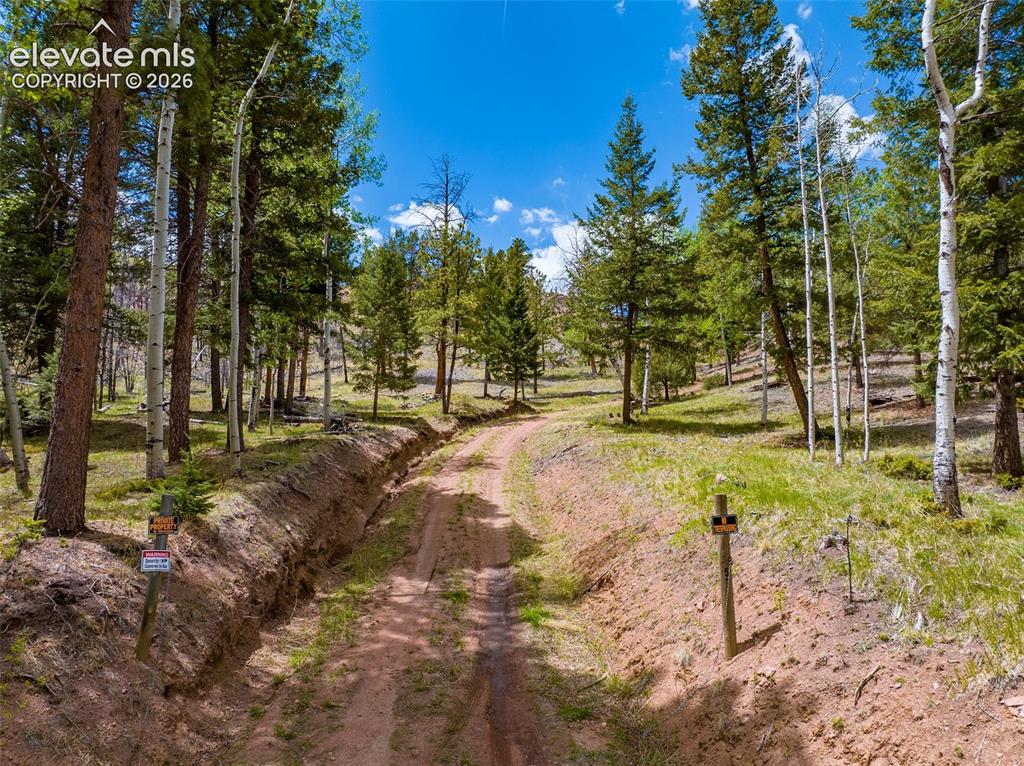 57 Fir Lane Florissant CO 80816