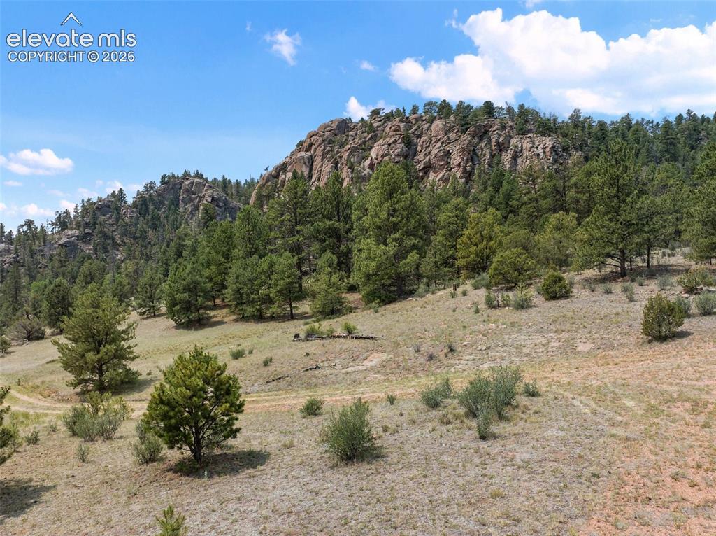 1137 County Road 111 Florissant CO 80816