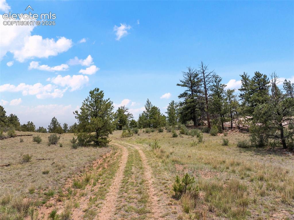 1137 County Road 111 Florissant CO 80816