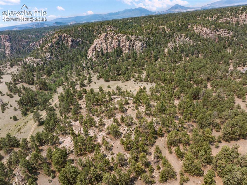 1137 County Road 111 Florissant CO 80816