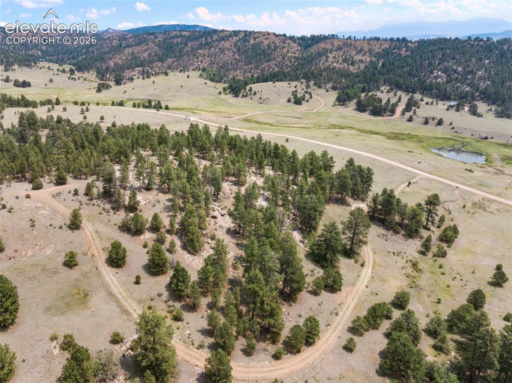 1137 County Road 111 Florissant CO 80816