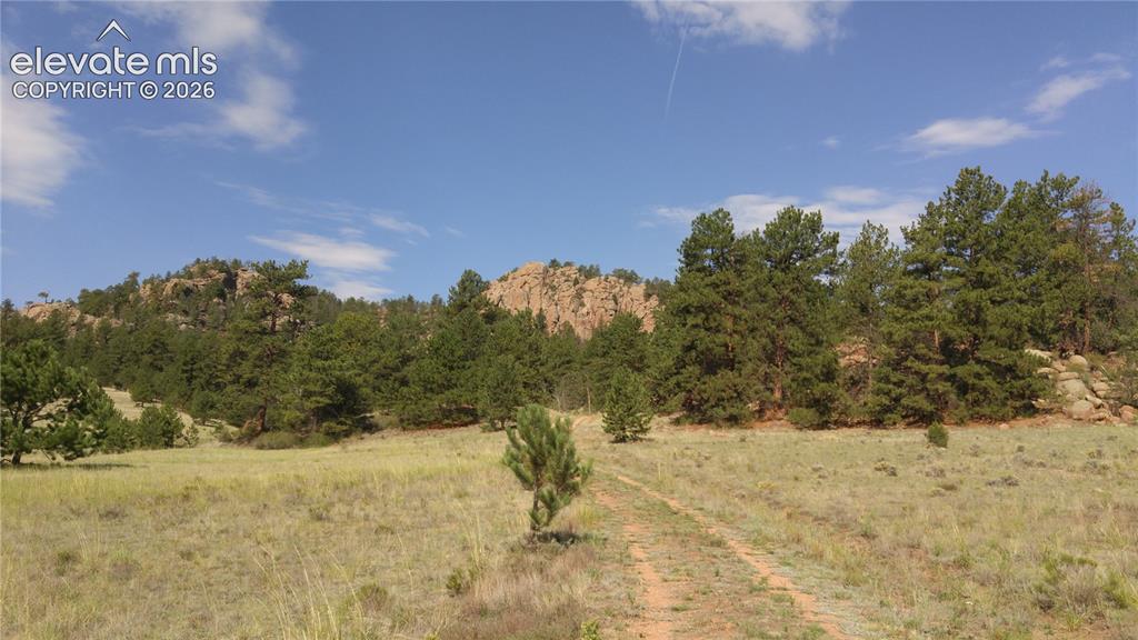 1137 County Road 111 Florissant CO 80816