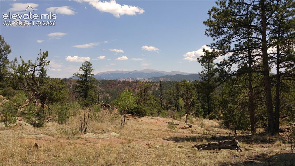 1137 County Road 111 Florissant CO 80816