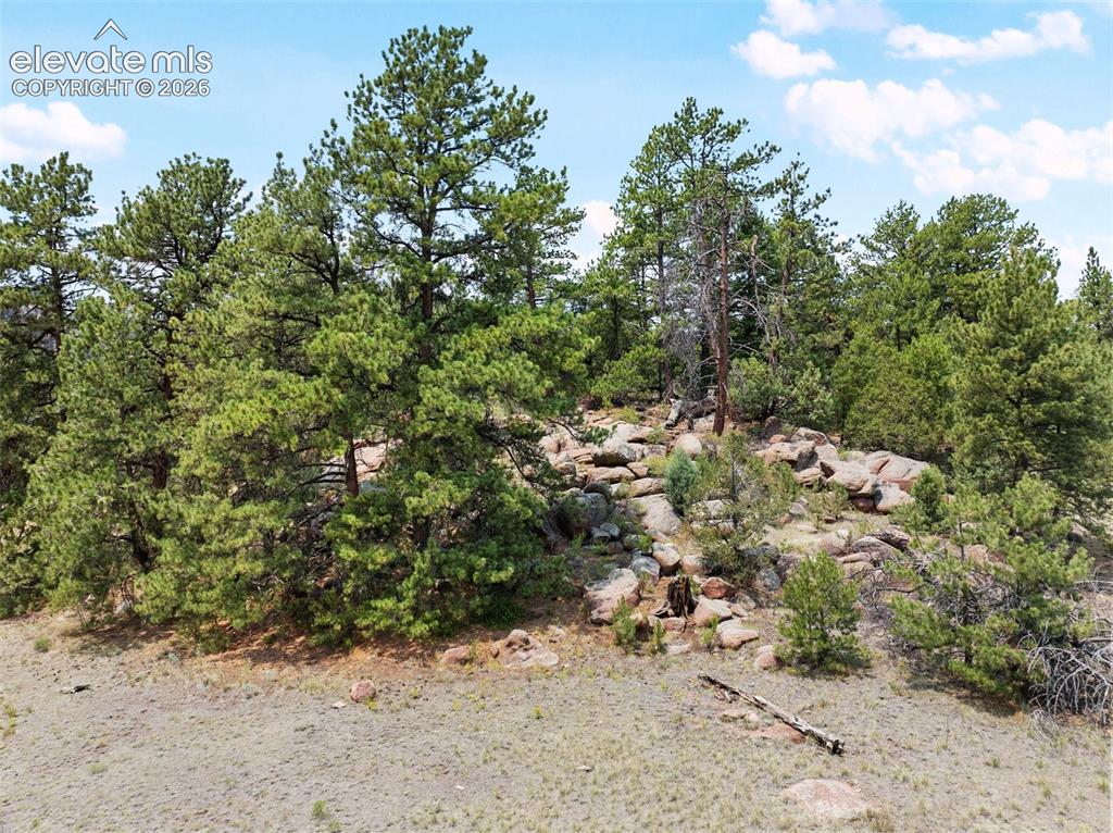1137 County Road 111 Florissant CO 80816