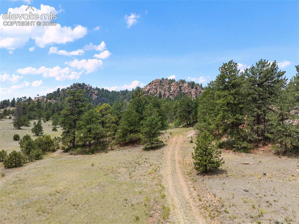 1137 County Road 111 Florissant CO 80816
