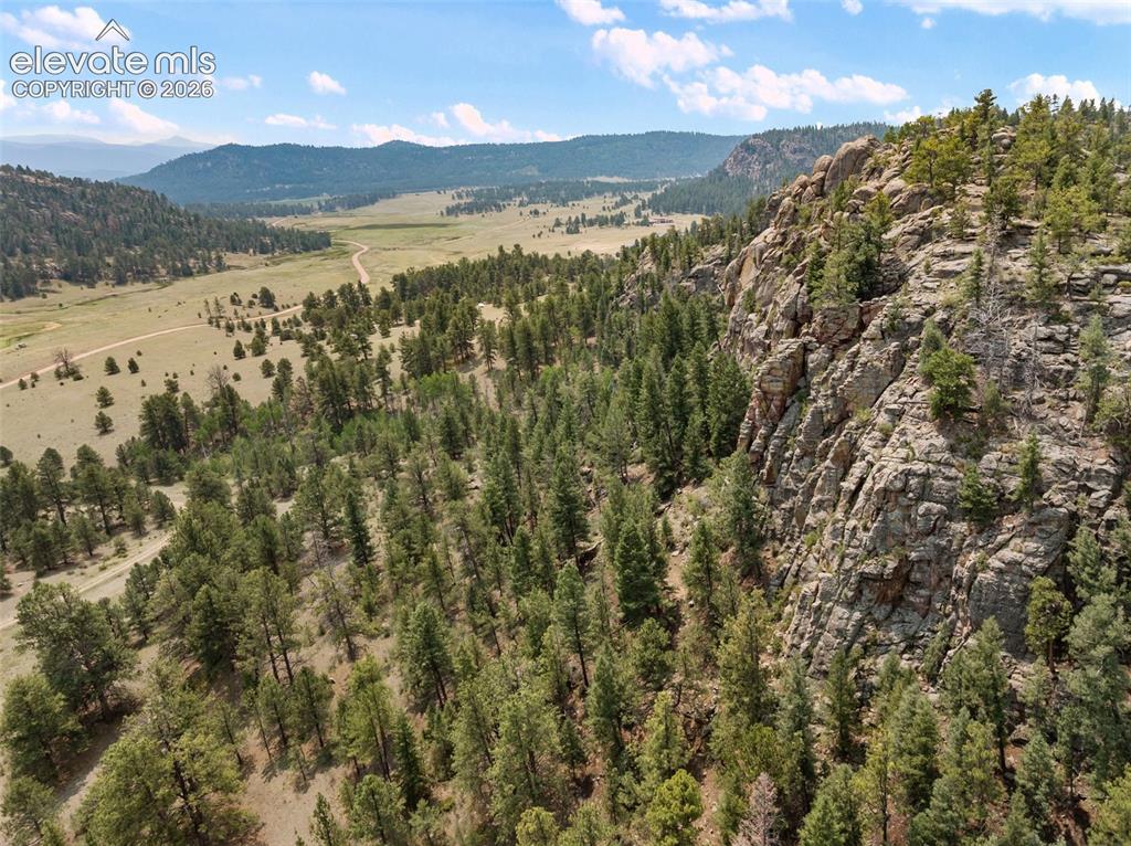 1137 County Road 111 Florissant CO 80816