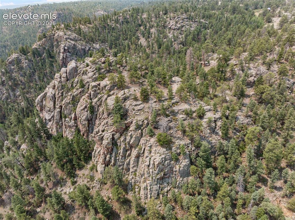 1137 County Road 111 Florissant CO 80816