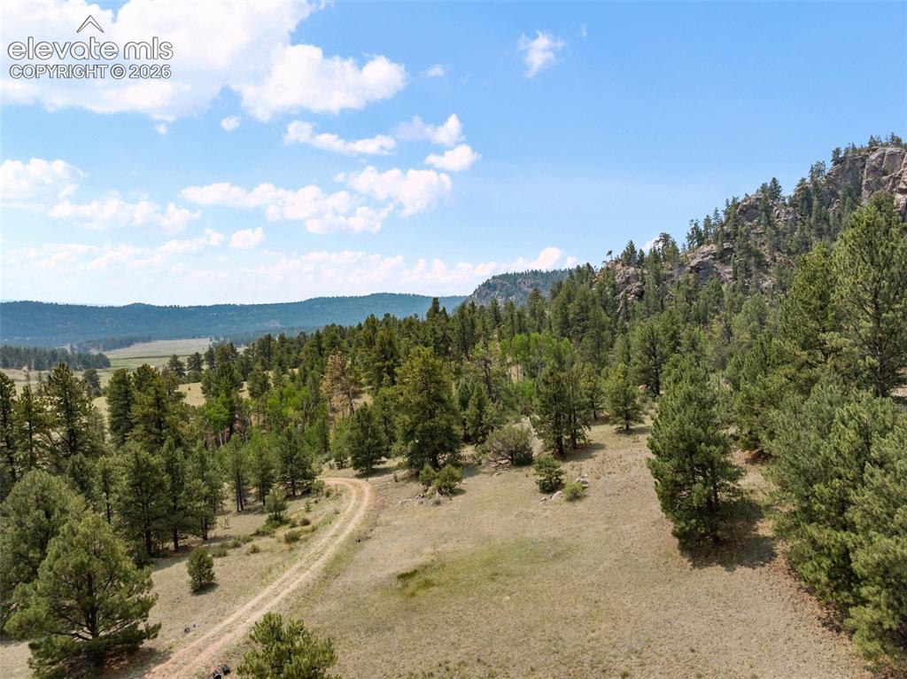 1137 County Road 111 Florissant CO 80816