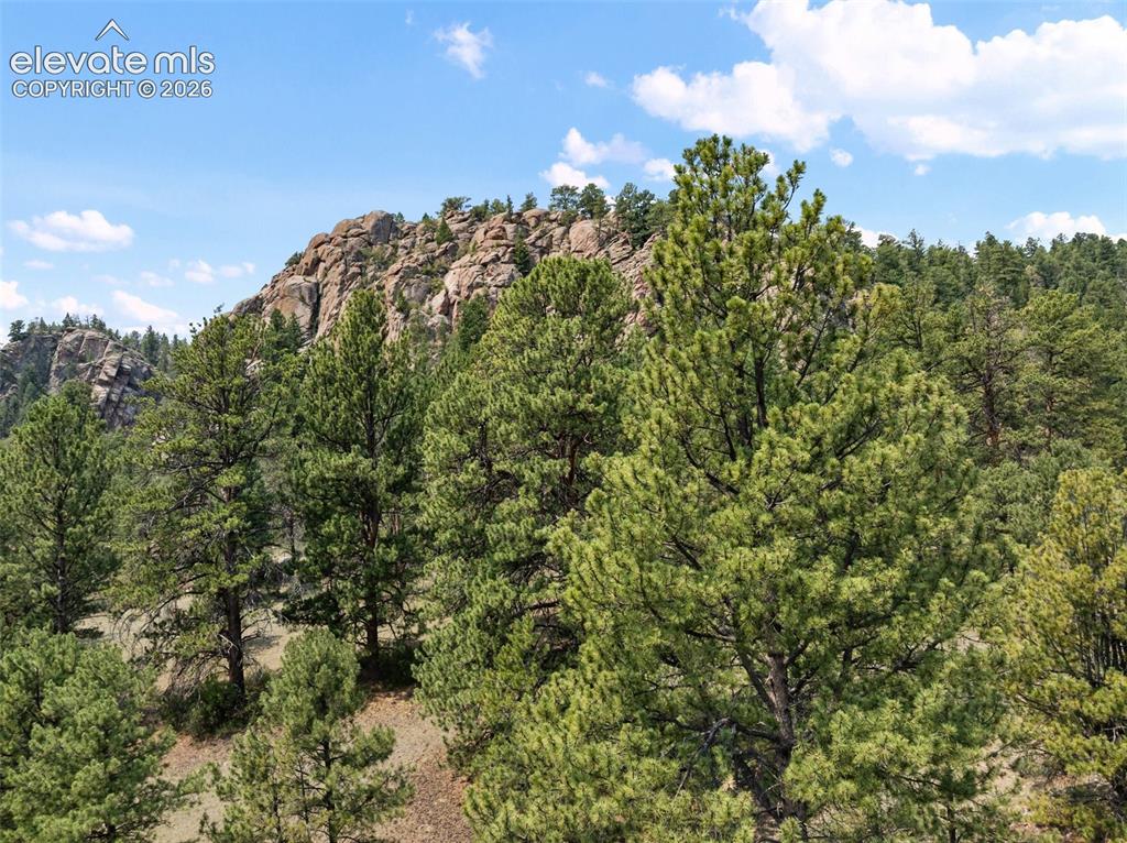 1137 County Road 111 Florissant CO 80816