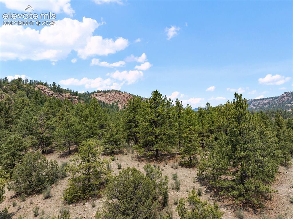 1137 County Road 111 Florissant CO 80816