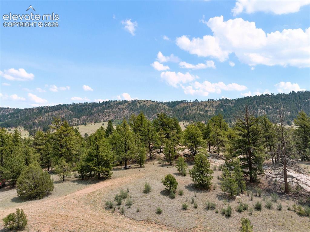 1137 County Road 111 Florissant CO 80816