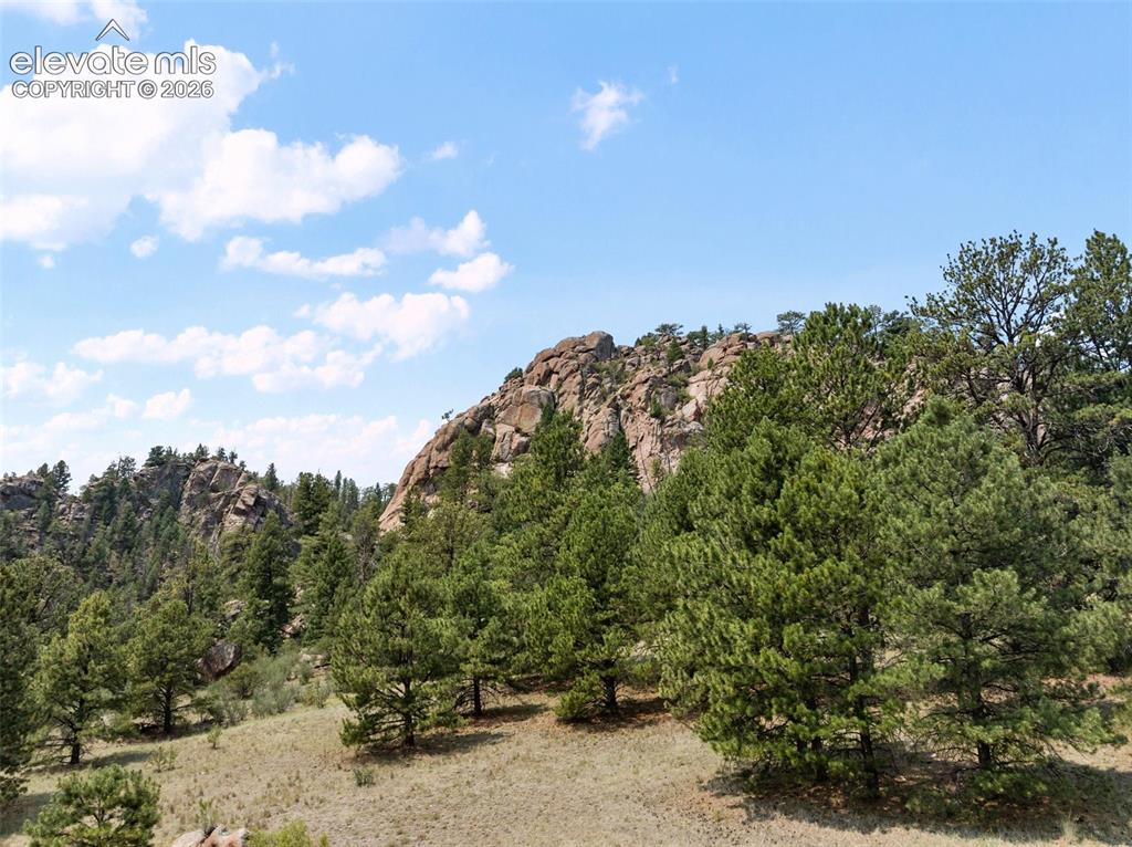 1137 County Road 111 Florissant CO 80816