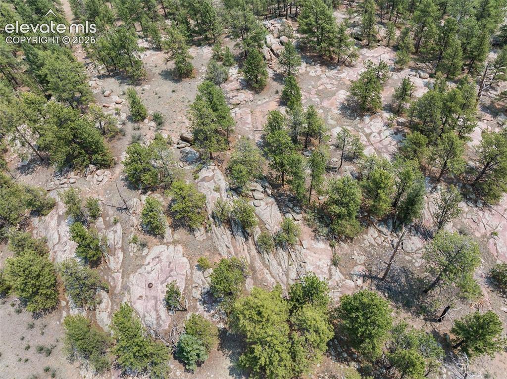 1137 County Road 111 Florissant CO 80816