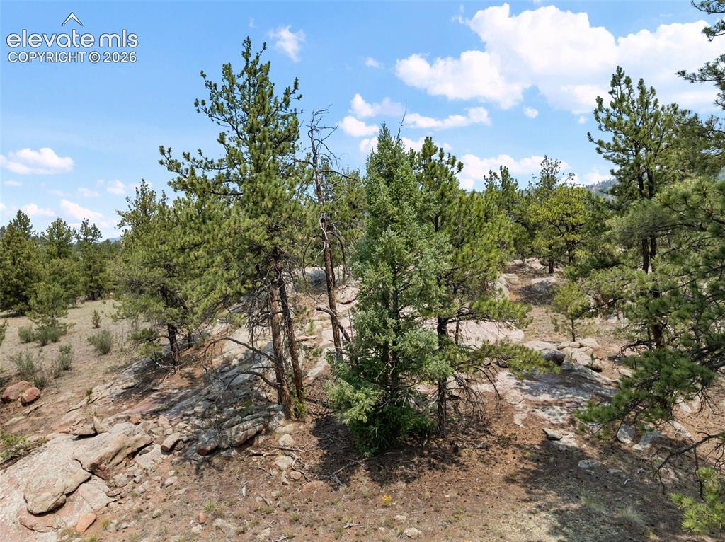 1137 County Road 111 Florissant CO 80816