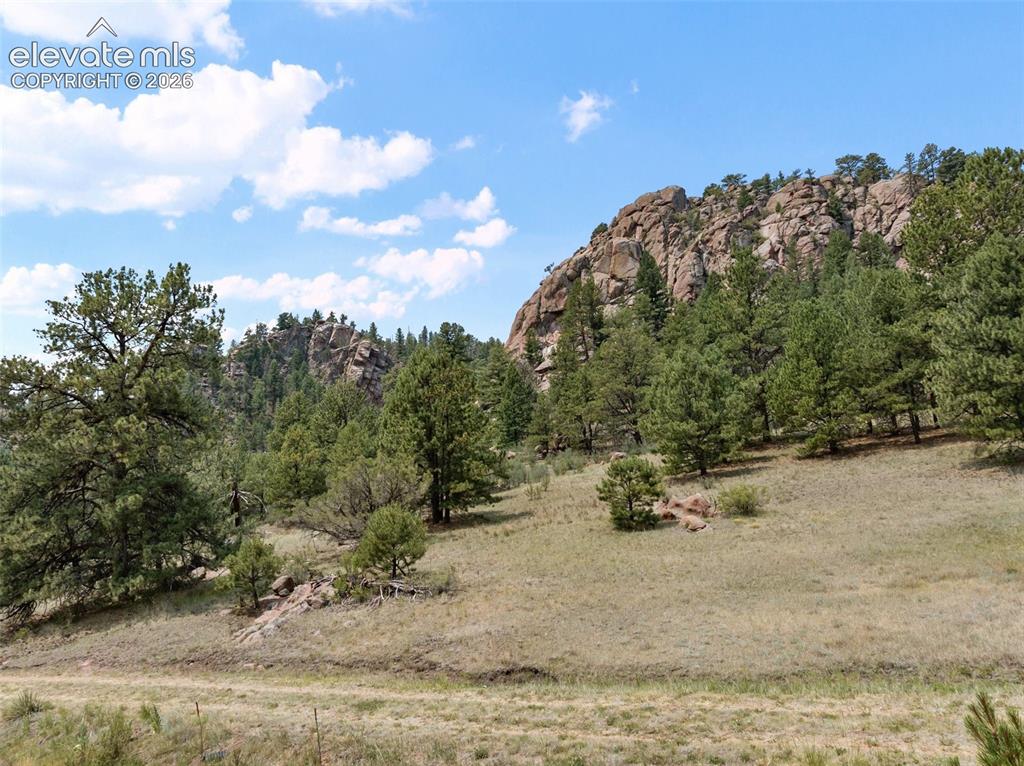 1137 County Road 111 Florissant CO 80816