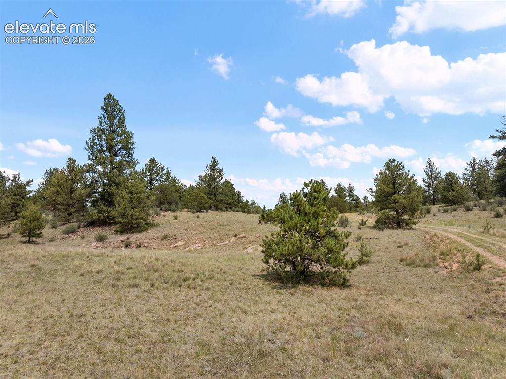 1137 County Road 111 Florissant CO 80816