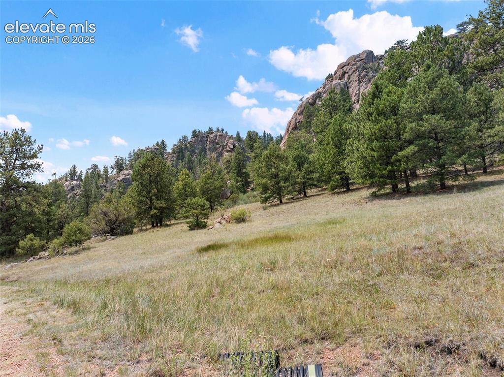 1137 County Road 111 Florissant CO 80816