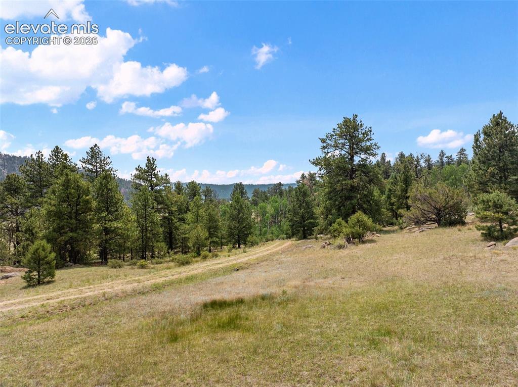 1137 County Road 111 Florissant CO 80816