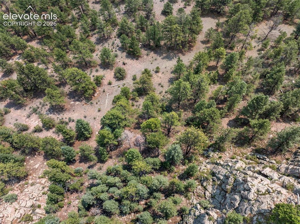 1137 County Road 111 Florissant CO 80816