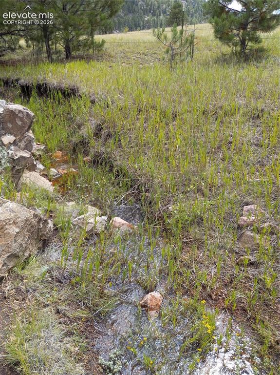 1137 County Road 111 Florissant CO 80816