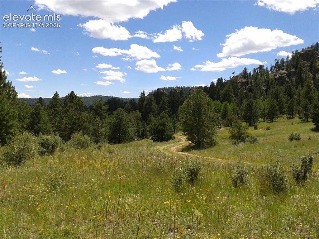 1137 County Road 111 Florissant CO 80816